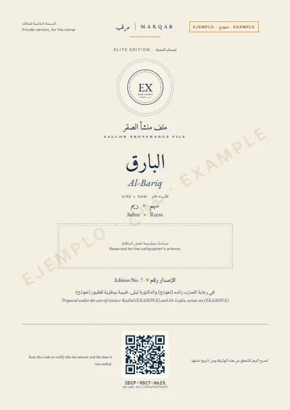 Falcon provenance dossier · Private version